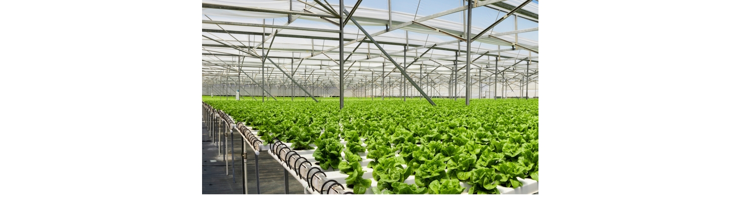 cheapest prices,fast shipping & discreet packaging